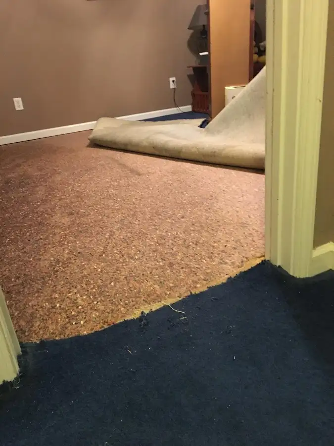 Carpet pad removal revealing water damage during Drying & Dehumidification in Milan