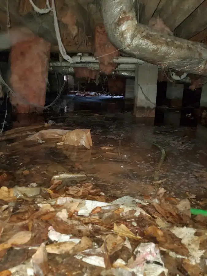 Crawl space flood assessment for Leak Detection & Repair in Milan